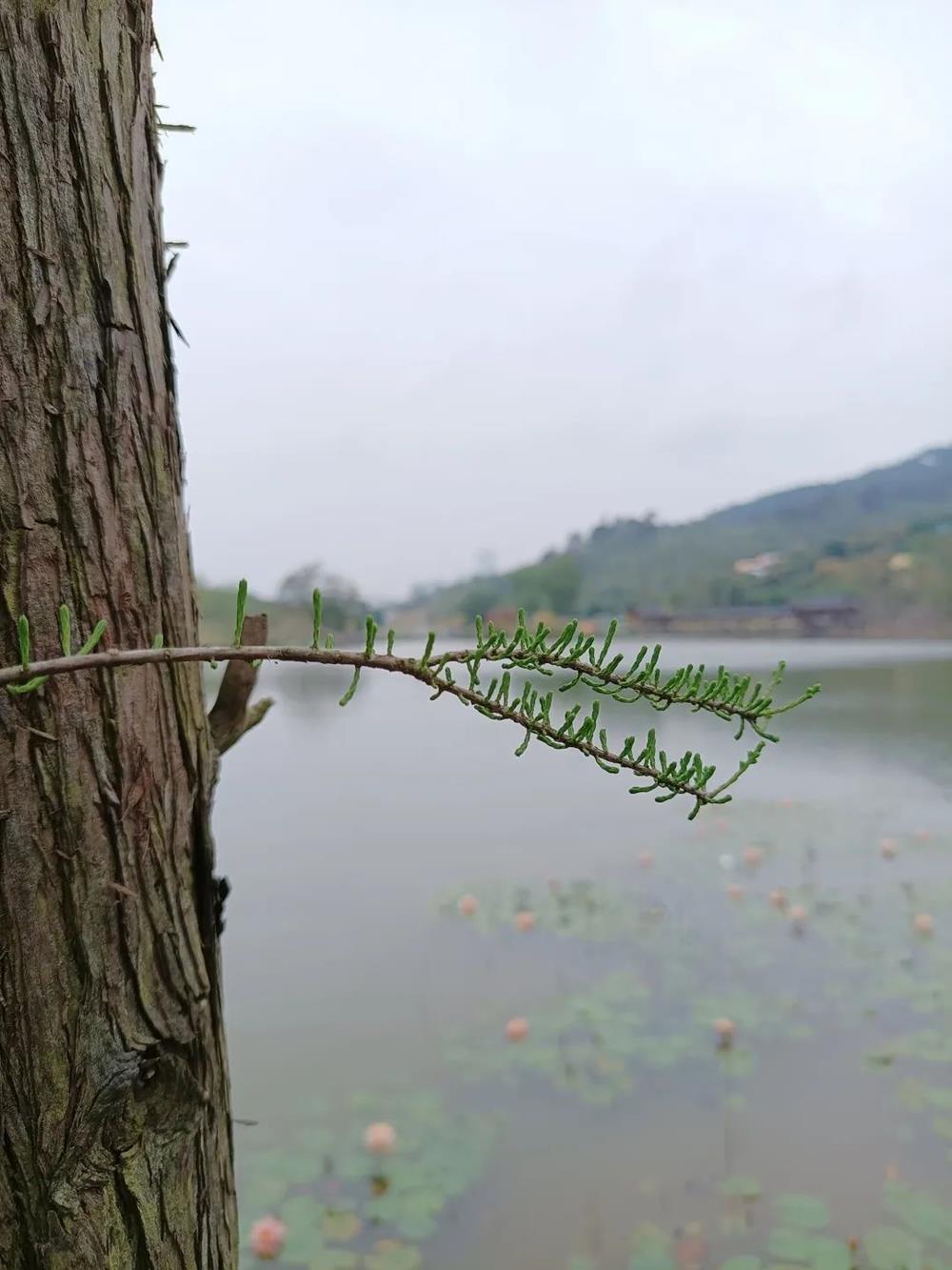 4b0feb5ca6ed41edaff179d949a18bc9.jpg 4b0feb5ca6ed41edaff179d949a18bc9.jpg